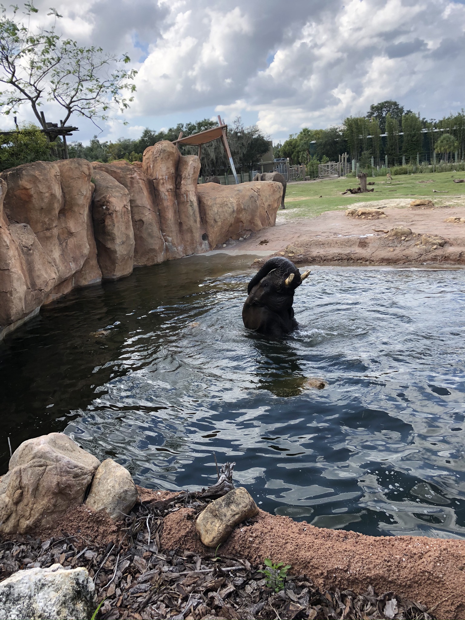 ZooTampa at Lowry Park - Craig Brownlie